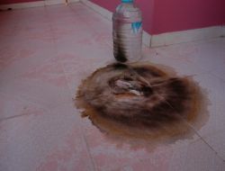 Kadirli’de Bir Eve Molotoflu Saldırı Düzenlendi