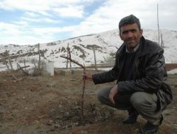 Ağaçları Hasar Gören Vatandaşlar Destek Bekliyor