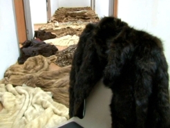 Havalimanında kaçak kürk operasyonu