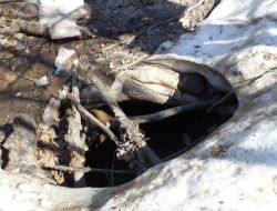 Terör Örgütüne Ait 6 Sığınak İmha Edildi