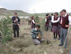 İskilip Aöl'den 'Daha Yeşil Bir İskilip İçin Dikili Bir Ağacın Olsun' Kampanyası