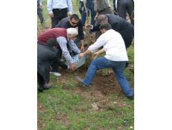 Yuva Çocukları İçin Hatıra Ormanı Oluşturuldu