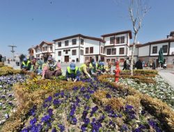 Başkent'te Bu Yıl 12 Milyon Çiçek Dikilecek