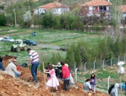 Kadınlar, Fidan Dikmek İçin Yarıştı