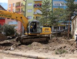 Restore Edilen Ulu Camii Bahçesindeki Ağaçlar, Kent Ormanı'na Taşındı