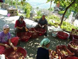 Narın Hem Kendisini Hem De Ekşisini Satıyorlar
