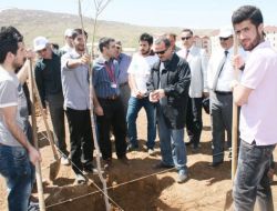 Prof. Dr. İnanç: Herkesin Bir Dikili Ağacı Oldu