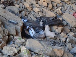 Hakkari Çukurca Karayolunda Patlayıcı