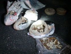 Nusaybin'de 5 Kilogramı A4 Toplam 35 Kilo Patlayıcı