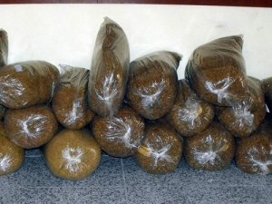 1 ton kaçak tütün ele geçirildi!