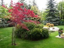 Çankaya'da En Güzel Bahçe Ve Balkonlar Ödüllendirilecek