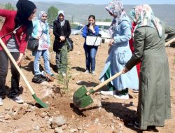 Tokatlı Kadınlar 2 Bin Fidanı Toprakla Buluşturdu
