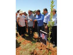 Yerleşik Yabancılar 'Biz De Manavgatlıyız' Diyerek Şehit İçin Fidan Dikti