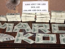 Mardin'de 466 Bin Dolarlık Sahte Para