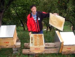 Tika'nın Bosna'daki Kalkınma Projeleri Devam Ediyor