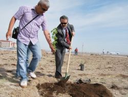 Aksaray Üniversitesi Yerleşkesi Ağaçlandırılıyor