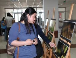 'Karaman'ın Kuşları' Görücüye Çıktı