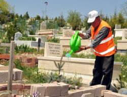 Etimesgut Belediyesi, Her Kabre Bir Fidan Dikiyor