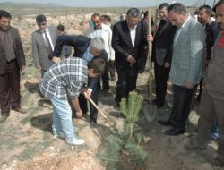 Fidanları Yurt Çocukları Vali Erden İle Birlikte Dikti