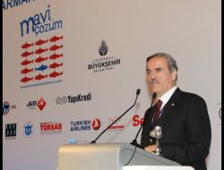 Kirlilik Nedeniyle Karadeniz’de Balık Sayısı Yarıya, Marmara’da 10’da Bire Düştü