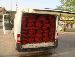 Bursa’da 3 Bin Kilo Midye Ele Geçirildi!