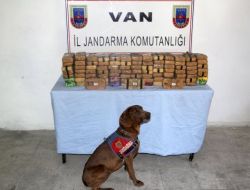 Van'da Uyuşturucu Operasyonu