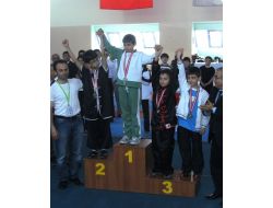 Wushu Yarışmalarında Bademli'ye Üçüncülük Kupası