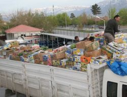 Karpuz kamyonunda kaçak sigara