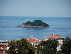 "Giresun Adası'nda Kuş Yumurtaları Ve Yavruları Tehdit Altında"