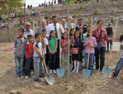 Keçiören'de Osman Gazi Parkı Ağaçlandırıldı