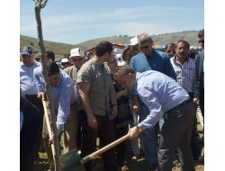 Çankaya Ak Parti, 1 Mayıs'ı Fidan Dikerek Kutladı