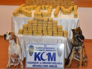 Zehir Tacirlerine Büyük Darbe