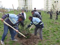 Palandöken, Yeşile Bürünüyor!