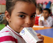 'Okul sütü' ilk günden zehirledi