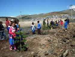 Sarıkamış'ta Okul Bahçeleri Yeşillenecek