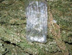 Adıyaman'da 3 Kilogram Esrar Ele Geçirildi