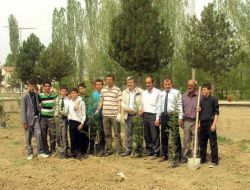 Sarıkayalı Hayırsever İşadamı Bin 200 Adet Çam Fidanı Dağıttı