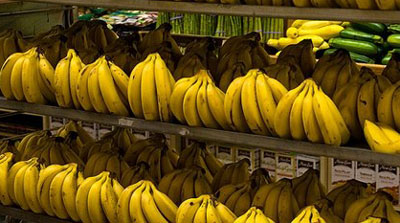 -MUZDA GÜMRÜKÇÜLERE SORUŞTURMA-