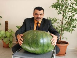Gaziantep, 40 Kilogramlık Karpuzla Diyarbakır'a Rakip Oldu