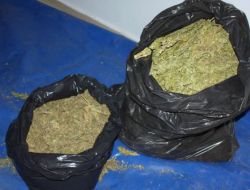 Gaziantep'te 16 Kilogram Esrar Ele Geçirildi