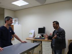 Psikologlar Derdine Derman Olamayınca Veterinere Gitti