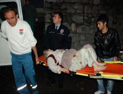 Yaşlı Kadın Cinayetini Kıl Örnekleri Çözecek