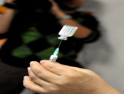 "Domuz Gribinden Ölenlerin Sayısı  60'a Yükseldi"