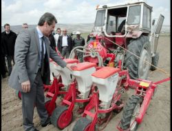 Kayseri Şeker Fabrikası Pancar Festivali Ve Sempozyumu Düzenleyecek