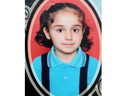 Karşıya Geçmek İsteyen Çocuklara Minibüs Çarptı: 2 Yaralı