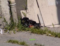 Mahallede Şüpheli Paket Paniği