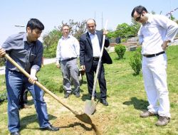Üsküdar'ın Yeşil Dokusuna Cihan'dan Destek
