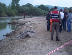 Traktörle Dereye Düşen Çiftçinin Cansız Bedeni 5 Gün Sonra Bulundu
