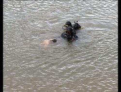 Serinlemek İçin Gölete Giren İki Arkadaş Boğuldu