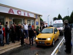 Domuz Gribi Korkusu  13,5 Milyon Kişiyi Acillik Etti